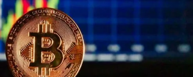 Bitcoin adoption could grow because of its efficiency, billionaire Tim Draper