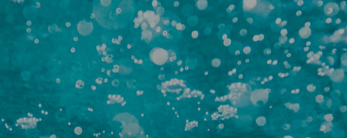 ANALYSTS EXPECT BITCOIN TO DIP TO KEY “LIQUIDITY CLUSTERS” BEFORE RALLYING