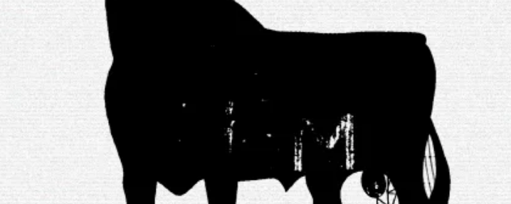Bitcoin Bull Run: OGs on Why This One’s Different