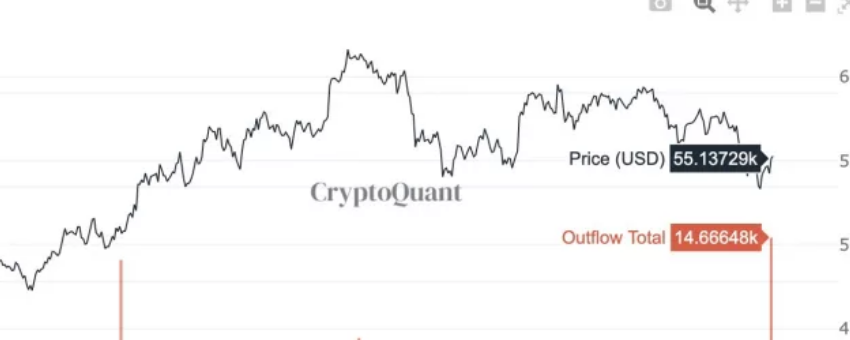 Bitcoin Transfer Worth $806M Might Reveal Big Institutional Purchase