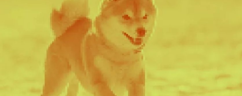 Coinbase Misses Out on Dogecoin Listing as Meme Token Rallies 6,000%+ on Binance