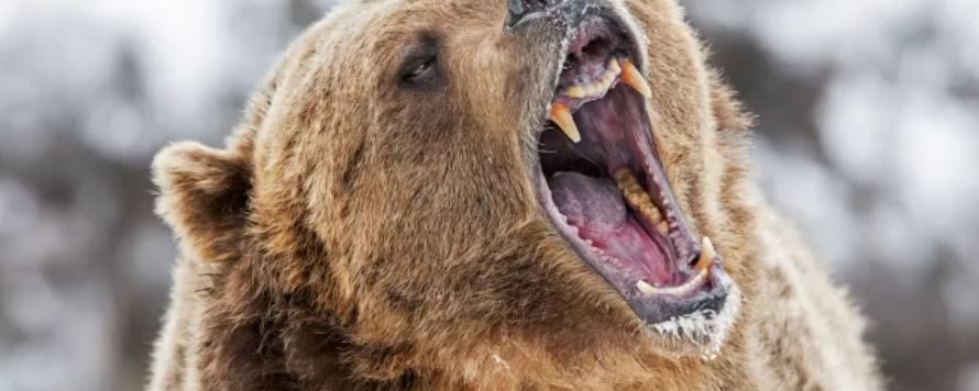 ADA, SOL Lead the Way as Crypto Market Sees Price Pullback